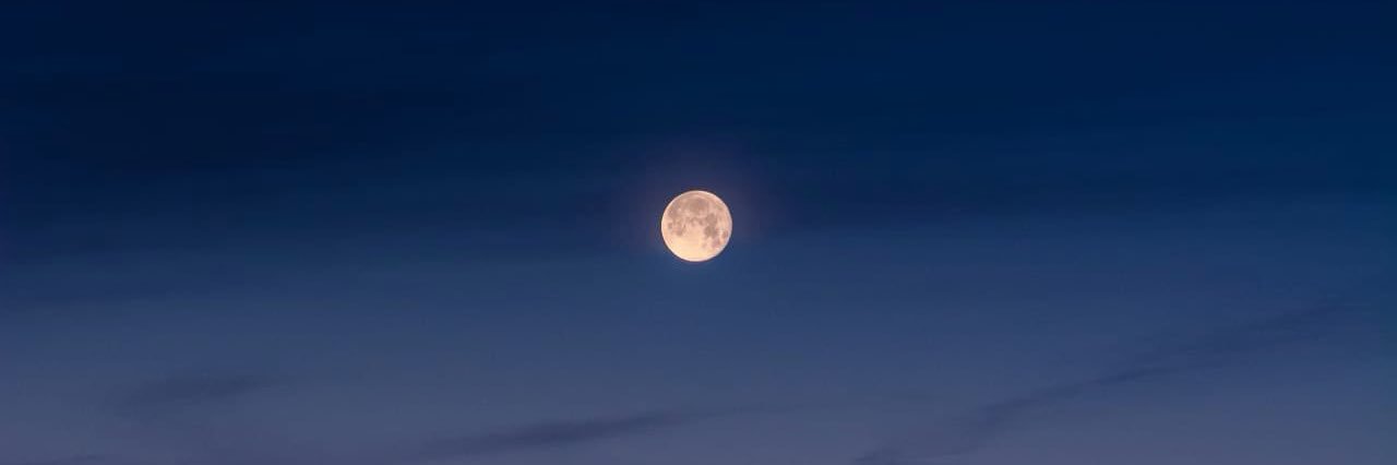 Olga Angélica banner