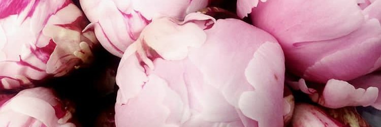 byashleigh's profile banner image