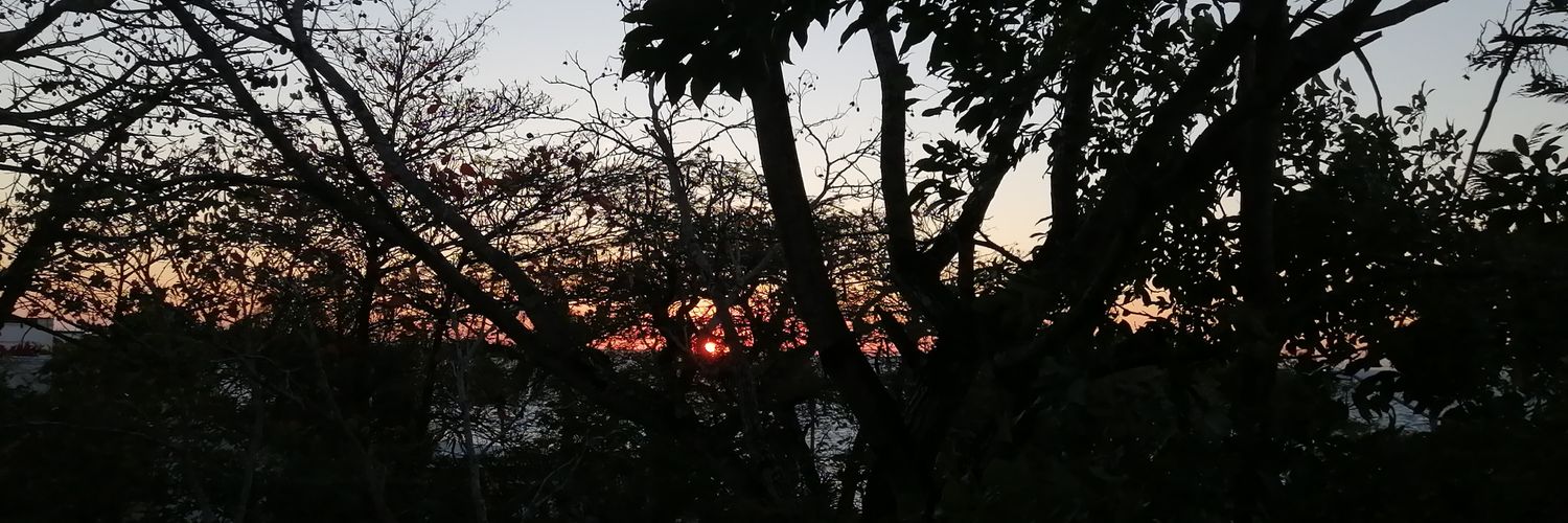 pickering_mx's profile banner image