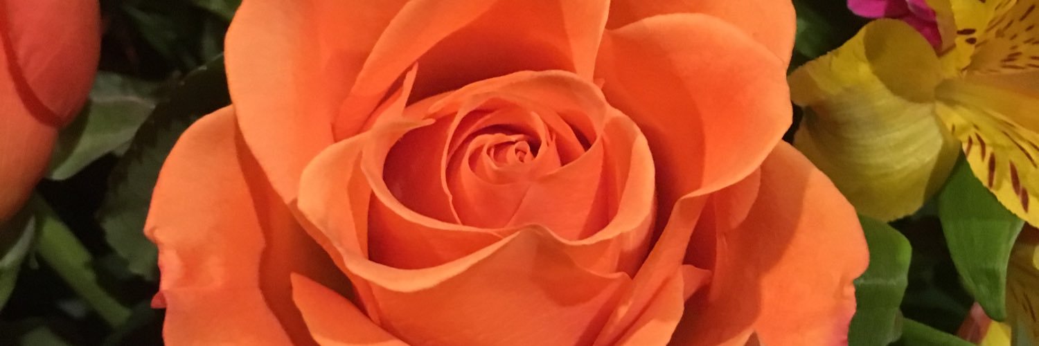 loratay2's profile banner image