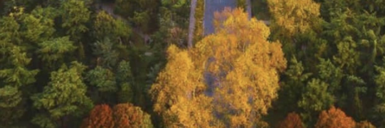 vaevictis973's profile banner image