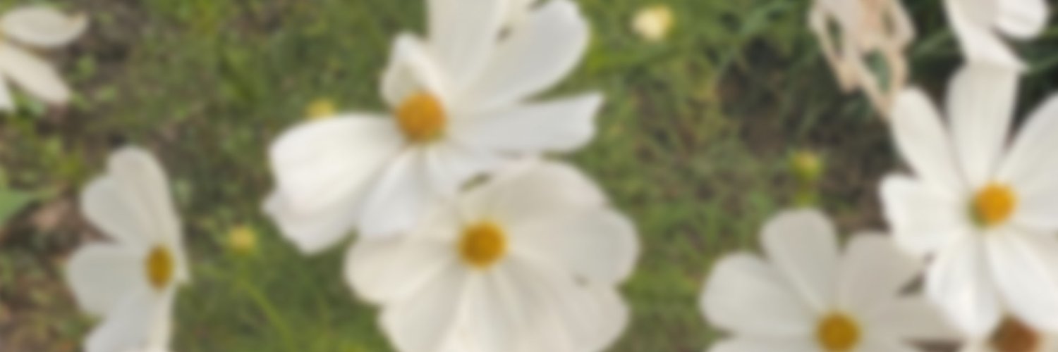 mckennasmark's profile banner image