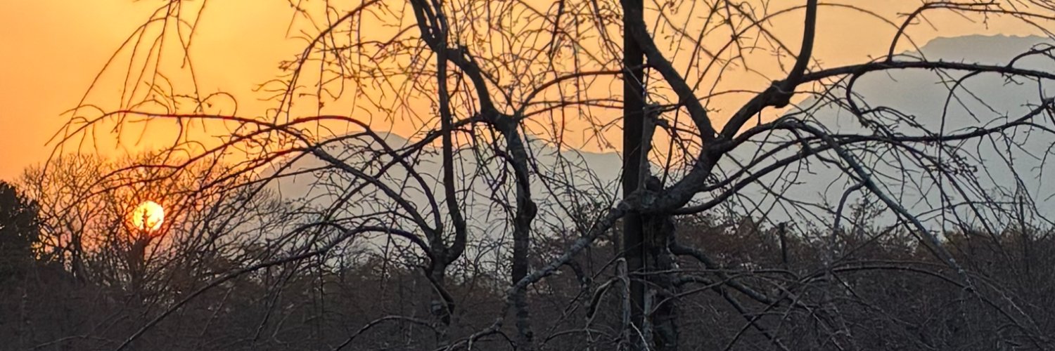 まっとし banner