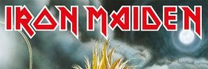 Damis1981's profile banner image