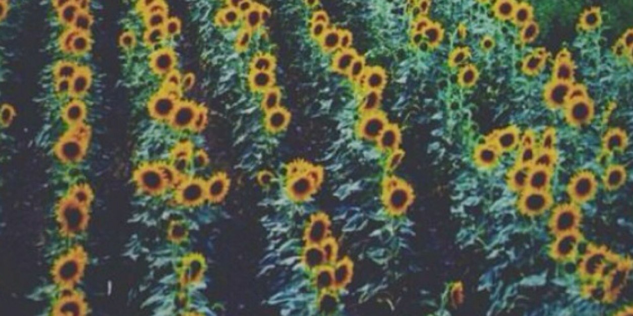 carojohnst's profile banner image