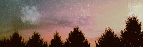 MariaCortes24's profile banner image
