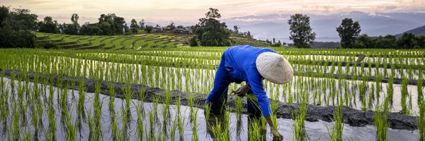 vehgro Profile Banner