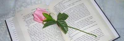 Emma_poeta's profile banner image