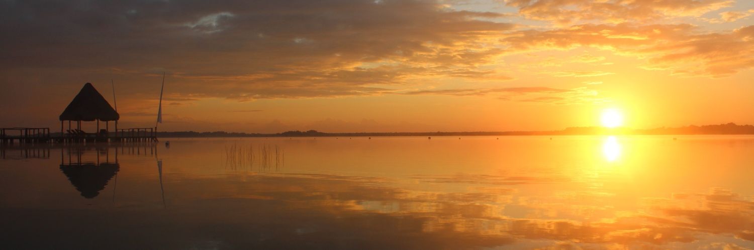 Milton Ocampo banner