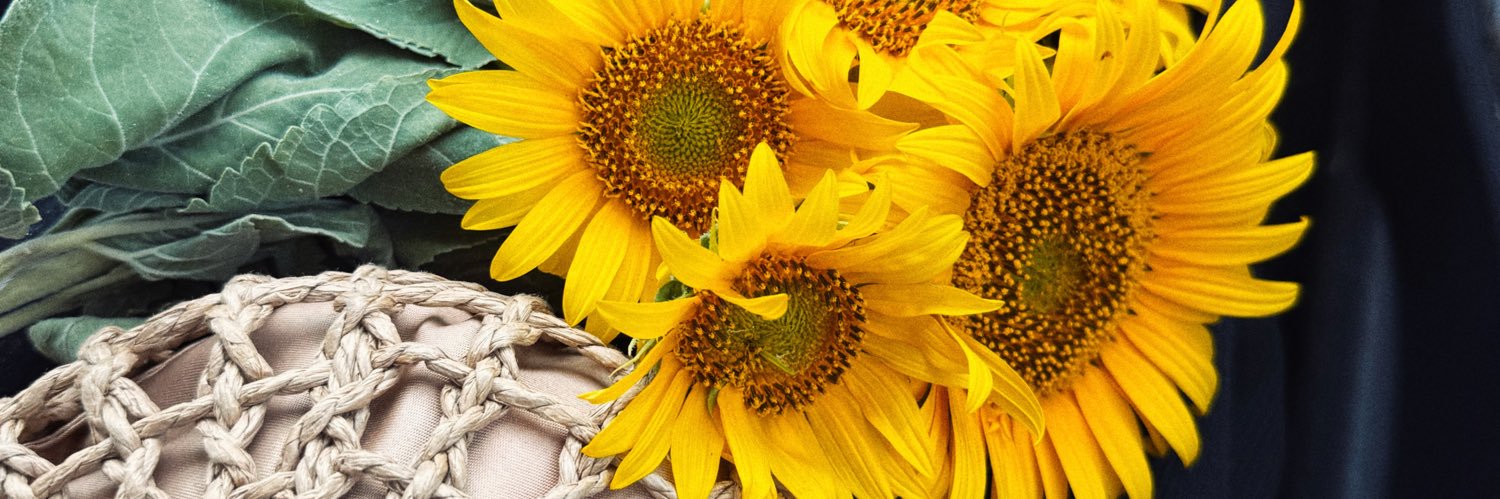 rcilogullari's profile banner image
