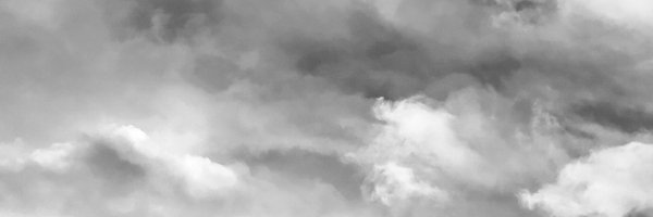 steineraufx Profile Banner