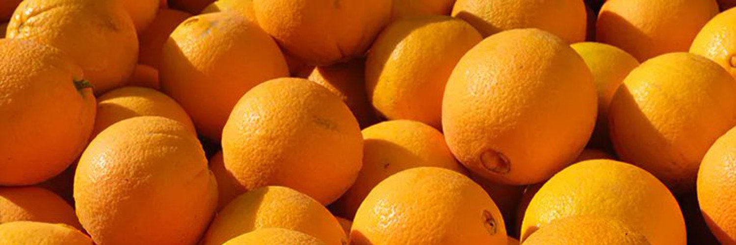 telegram-username-oorange1-uusertgoorange1-twitter