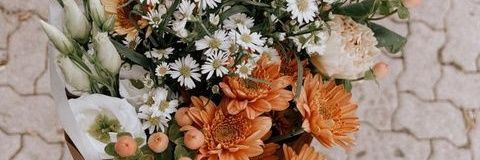 YamilaAvaro's profile banner image