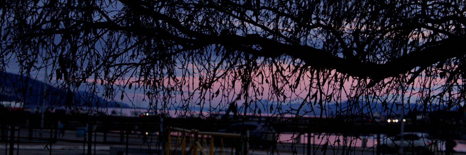 cuervabirrera's profile banner image