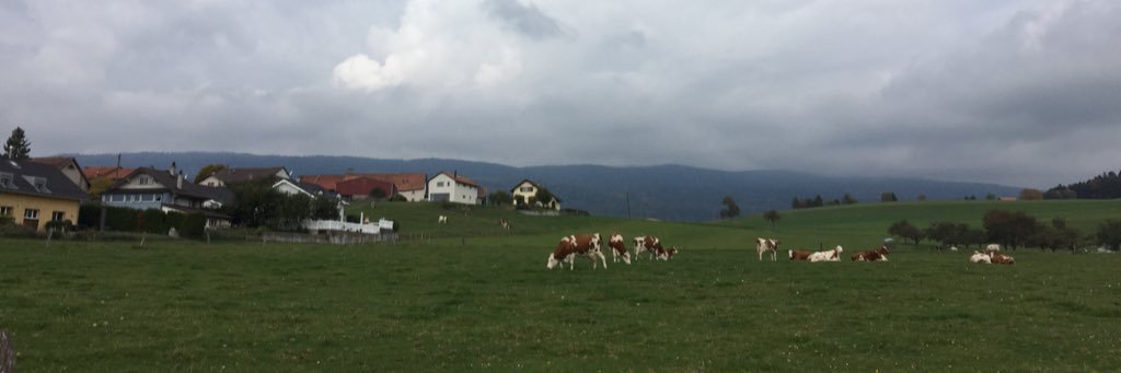 Madi banner