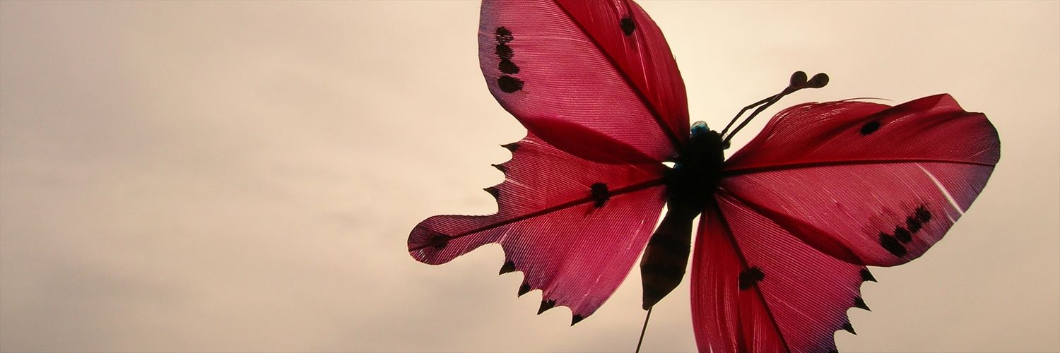 hatalrooh's profile banner image