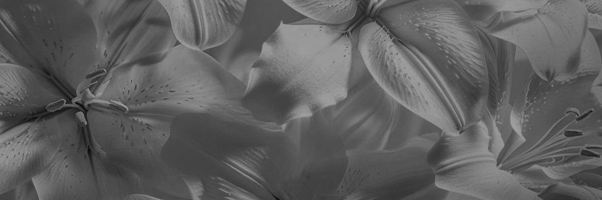 VlRIDESCENT's profile banner image