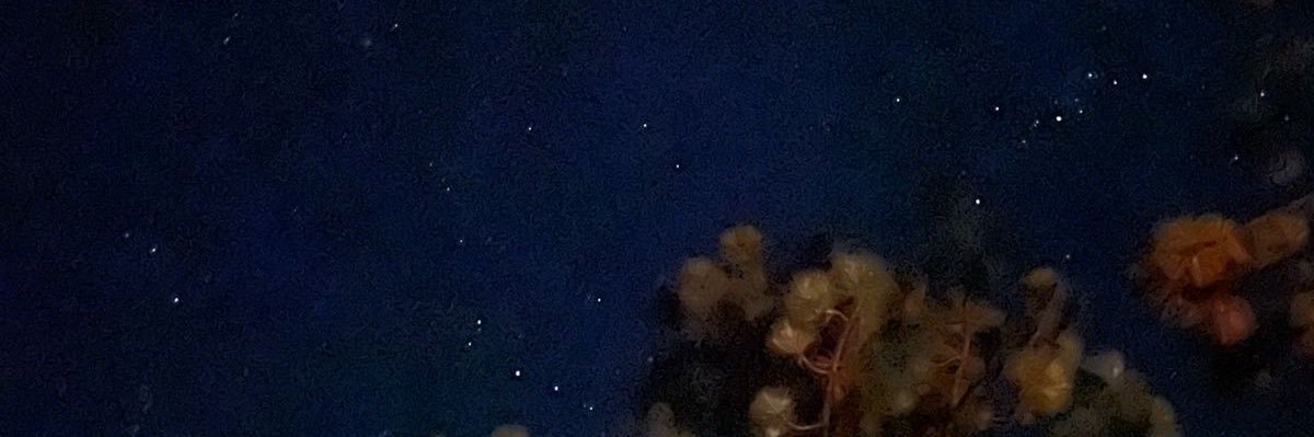 kikesan10's profile banner image