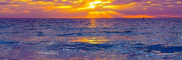 AR - X-echotrader banner