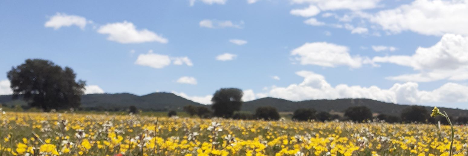 agudo86's profile banner image