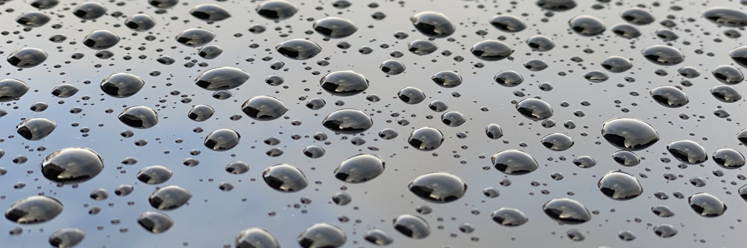 Peter Moosmxn banner