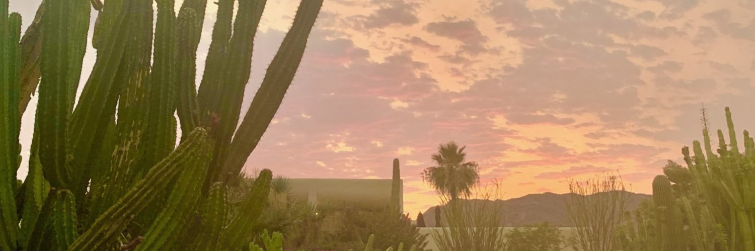 Napsforall's profile banner image
