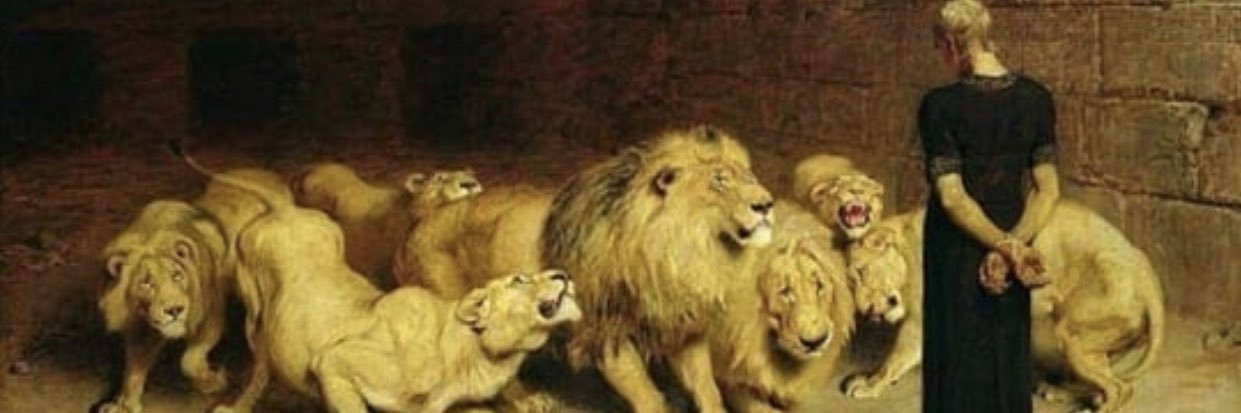 Miço Pedat Seker banner