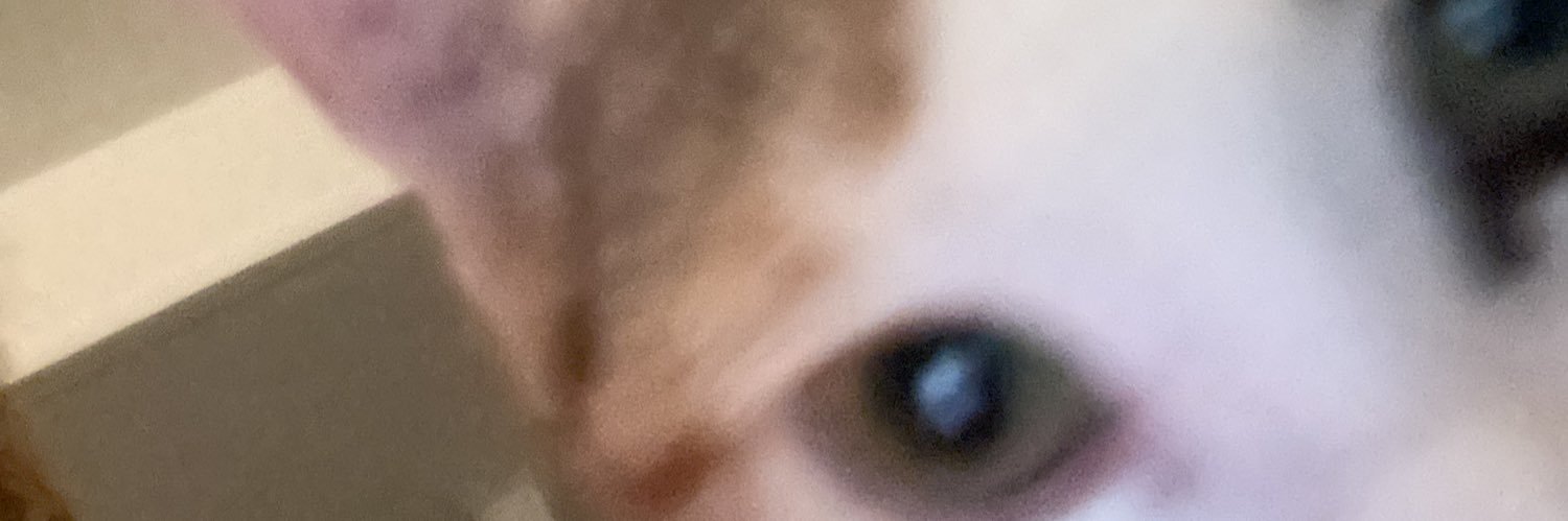 meeriesg3's profile banner image