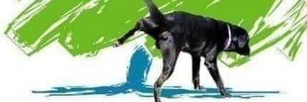 Moolok8 Profile Banner