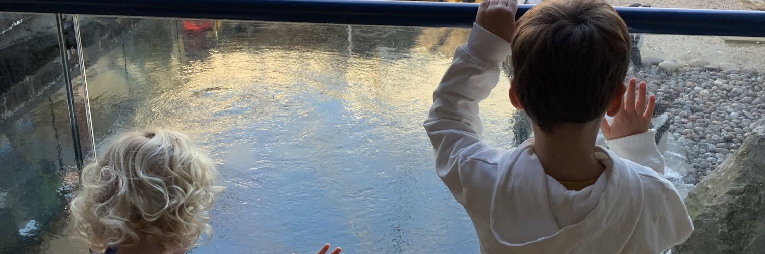 SpringTim's profile banner image