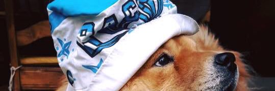AgustiniSuarez's profile banner image