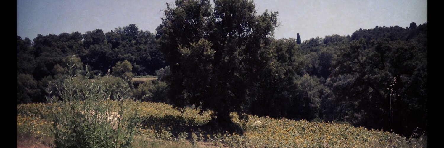 Francesca Giuliani banner