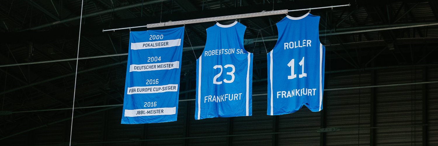 SKYLINERS banner