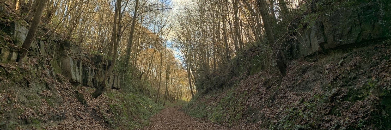 Dave Percival banner