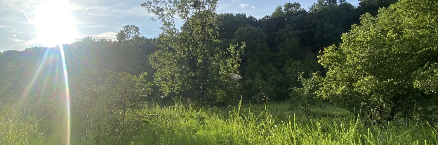 LindseyChilde15's profile banner image