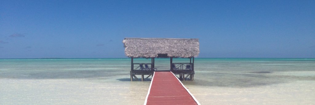Natalia López banner