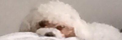 BrigittePalarch's profile banner image