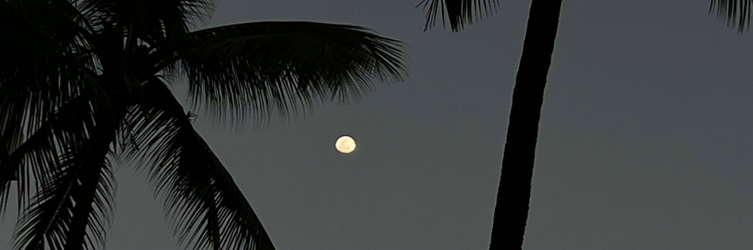 firmlygrazpit's profile banner image