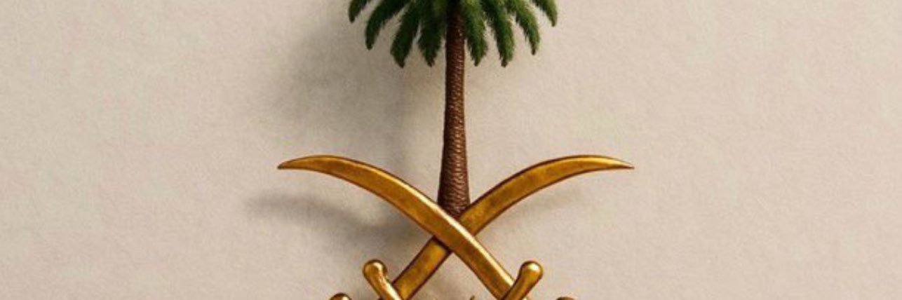 abo_froohy's profile banner image
