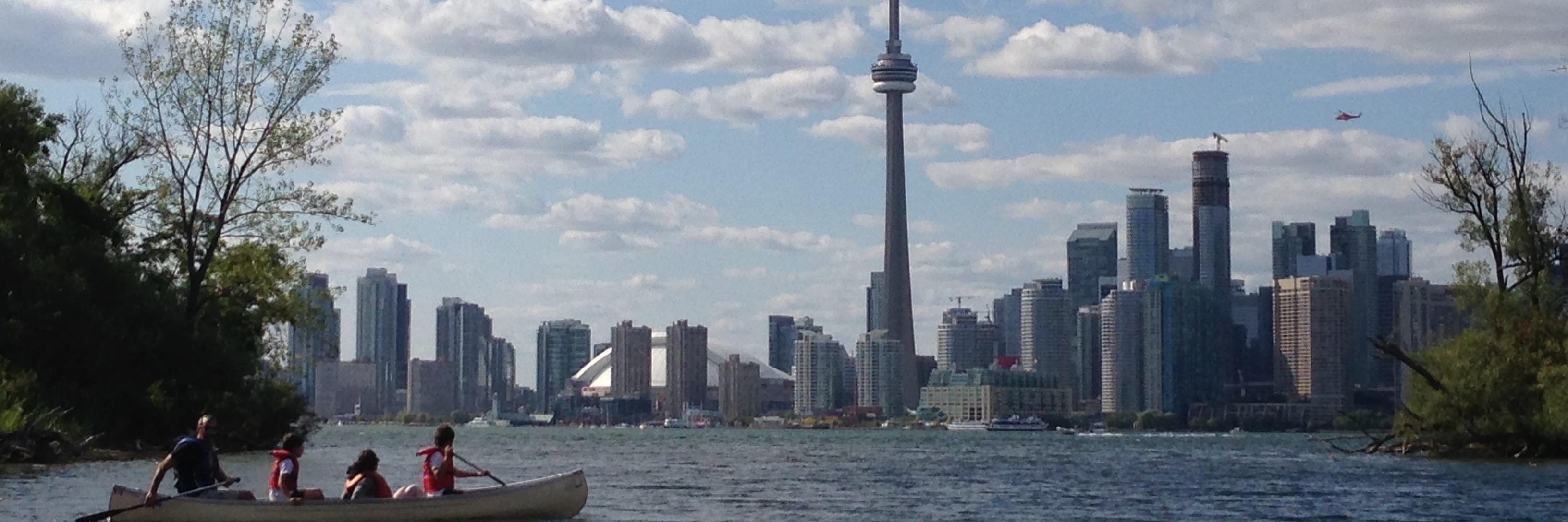 Michael Barry banner