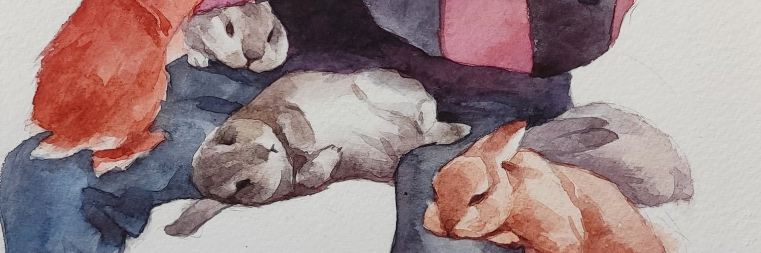 królewna🐰 banner