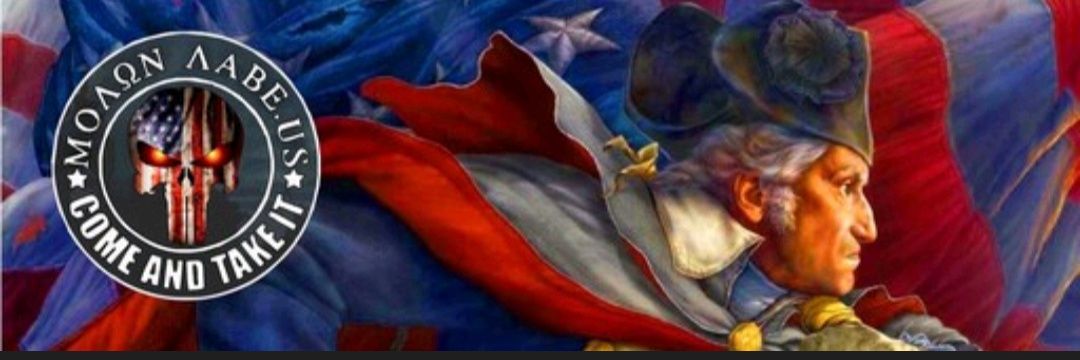 wolf_patriot737's banner
