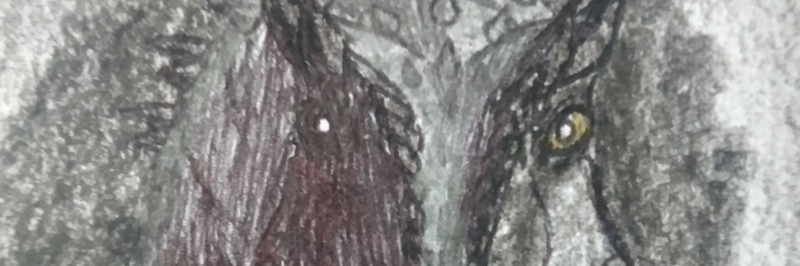 creatordr1's profile banner image
