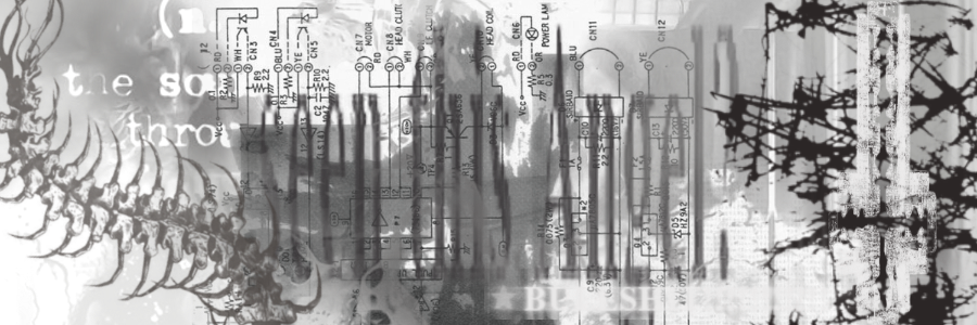 ᅠᅠ ⃰ ╱ᅠᅠᅠcap𝔦tan𝔬.ᅠ banner