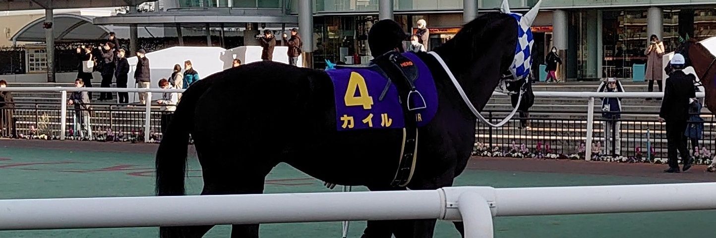 TS91@馬🏇's banner