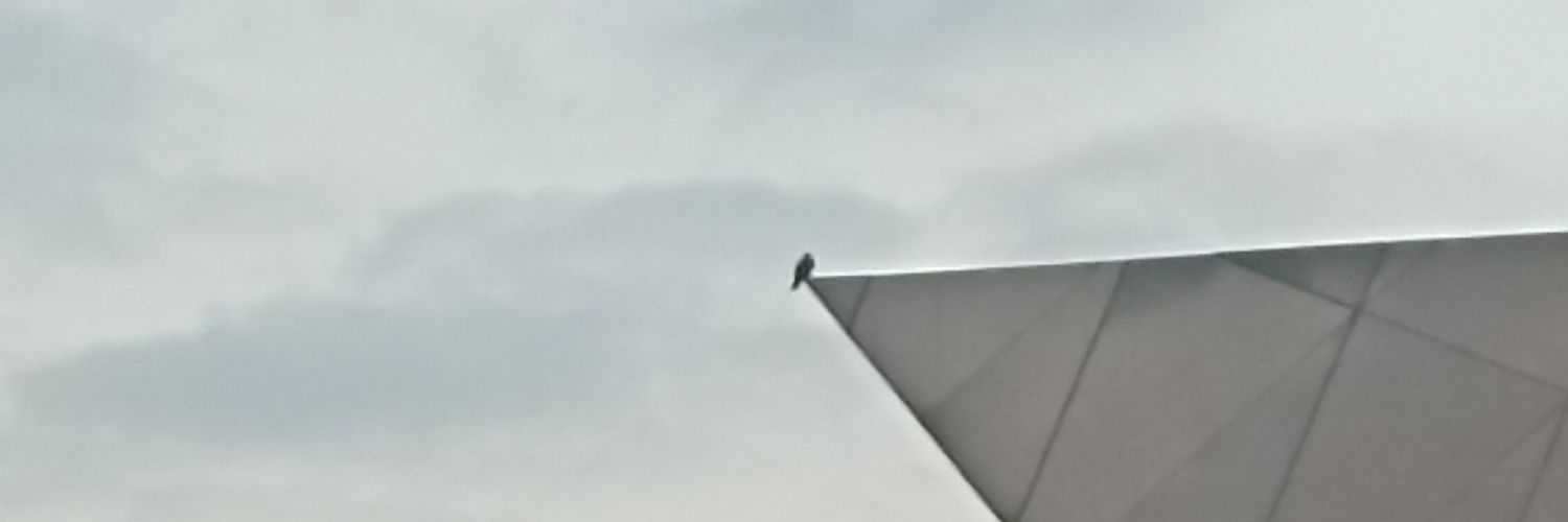 utkyzc's profile banner image