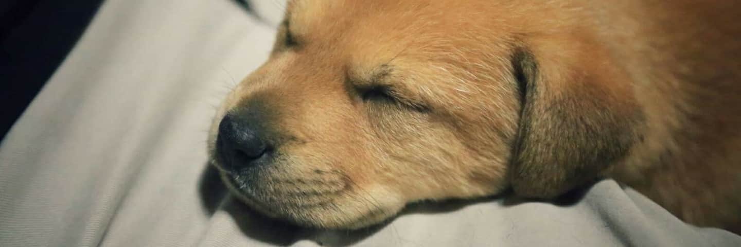 dannyhohn's profile banner image