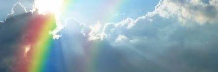 Cindy Carless banner