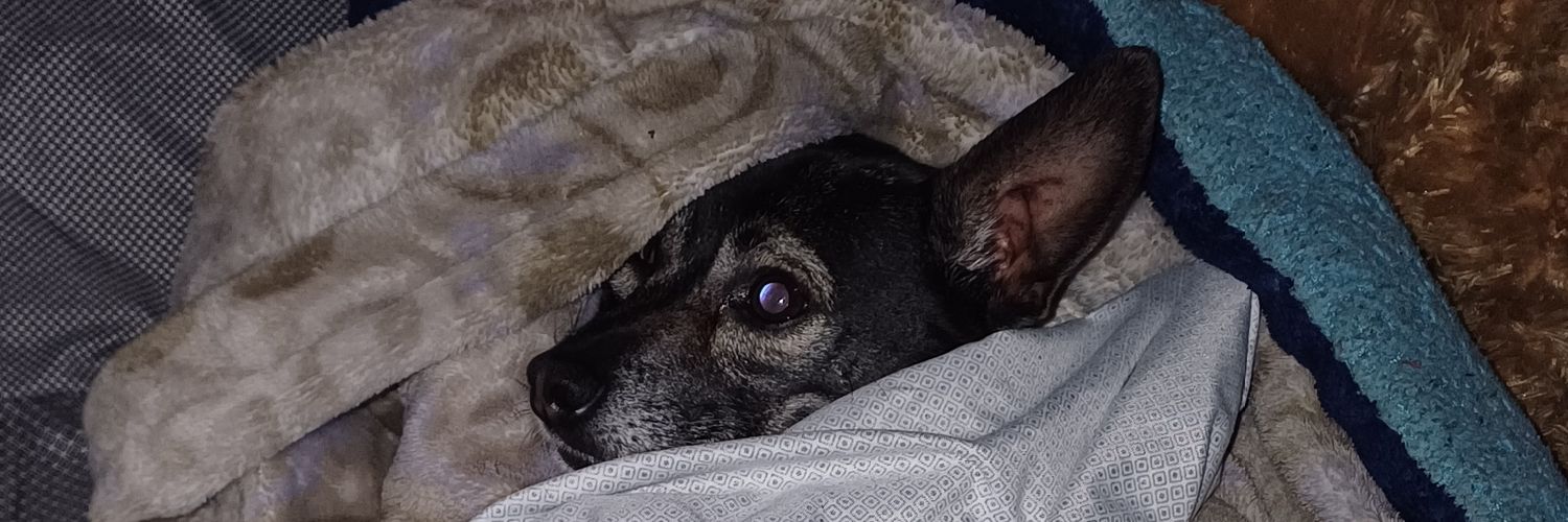 𝘼𝙛𝙞𝙭𝙂𝙤𝙖𝙩𝙩 banner