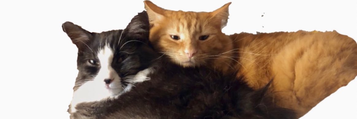 bleapbloop's profile banner image